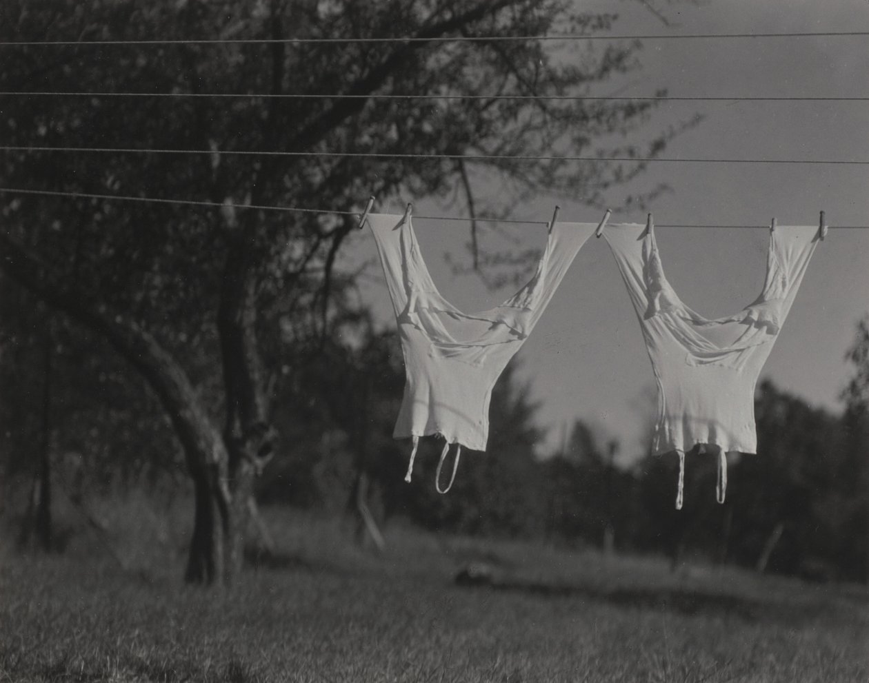 Long Underwear, Lake George by Alfred Stieglitz
