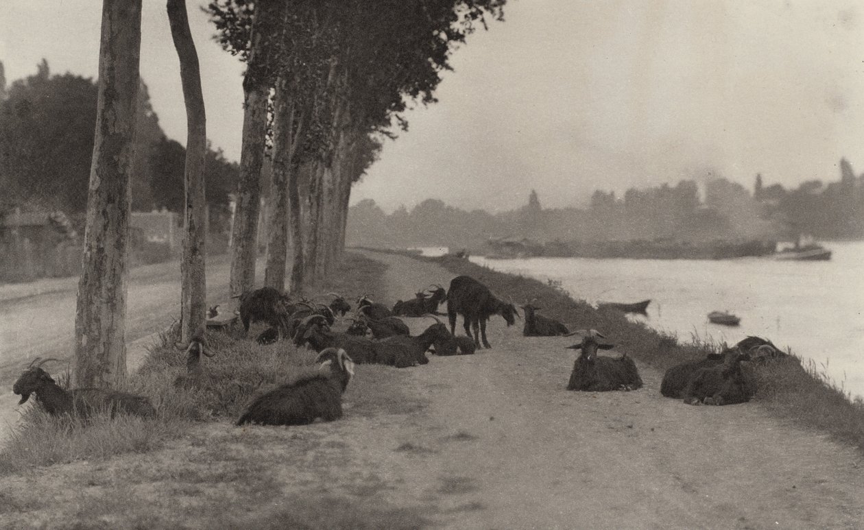 On the Seine—Near Paris by Alfred Stieglitz