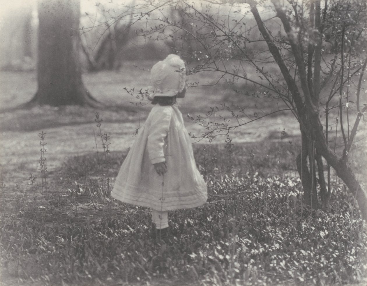 Spring by Alfred Stieglitz