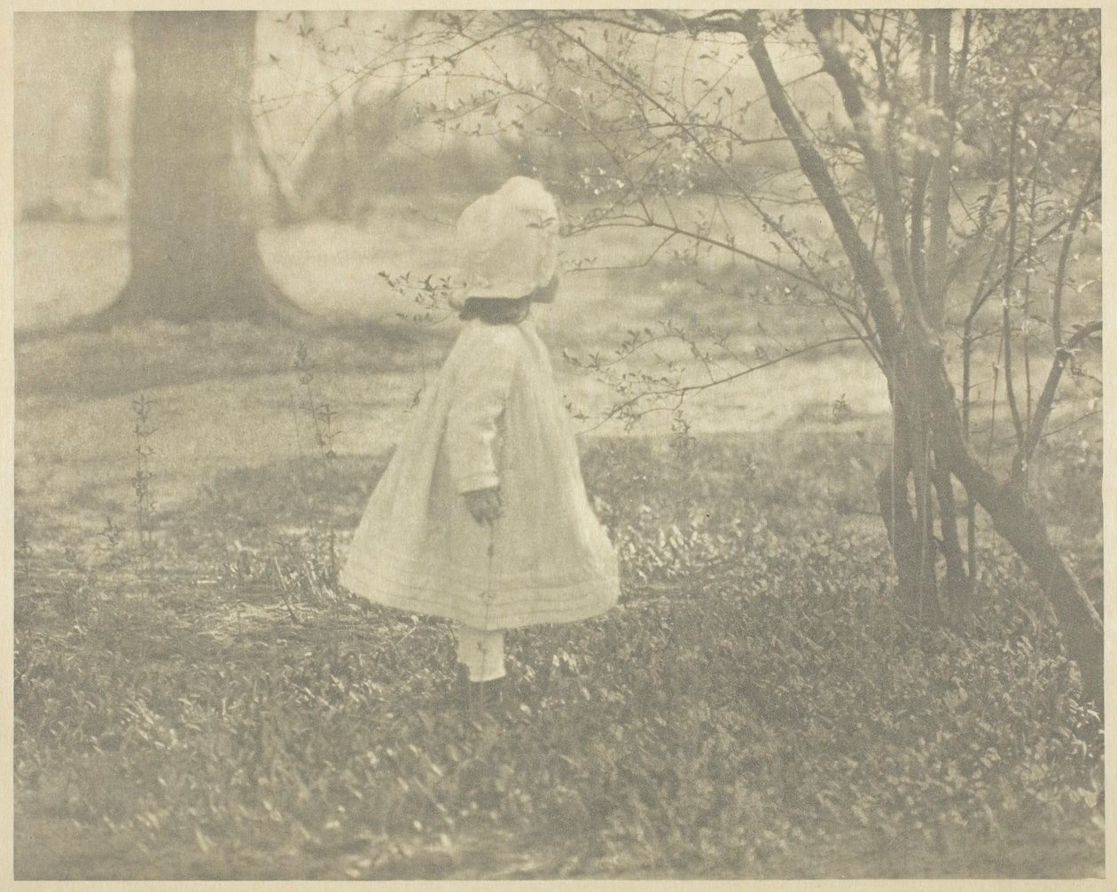 Spring - The Child by Alfred Stieglitz
