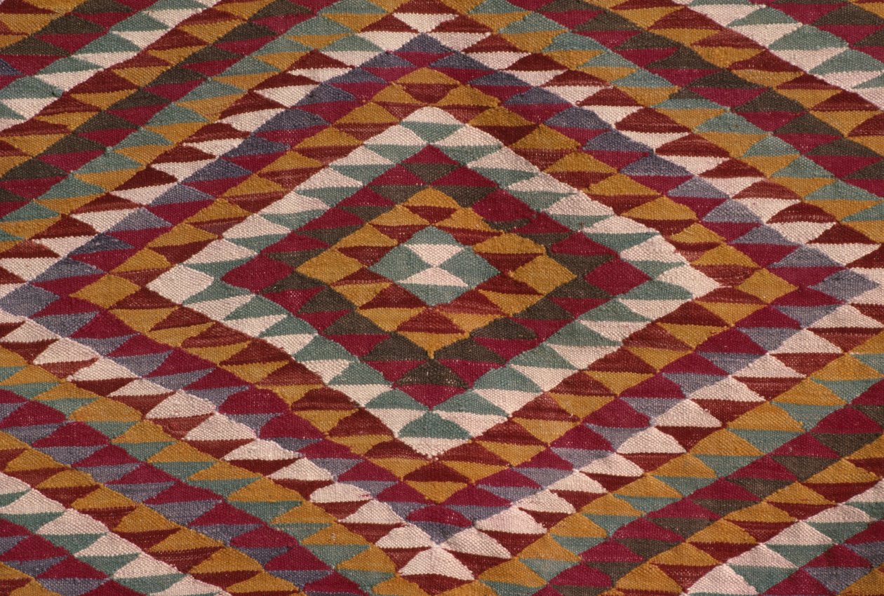 Carpet from the Mzab valley (detail) by Algerian School