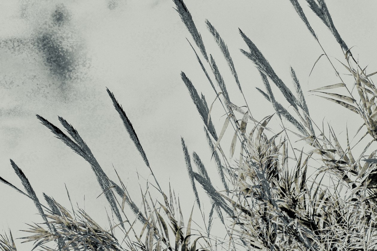 Harvest, 2017 by Alice Gur-Arie