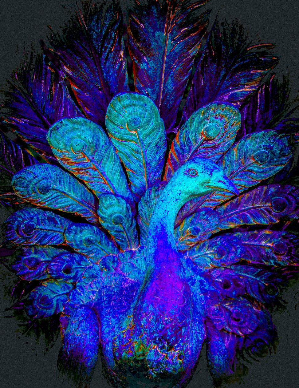 In the Garden of the Bahaullah, 2015 by Alice Gur-Arie