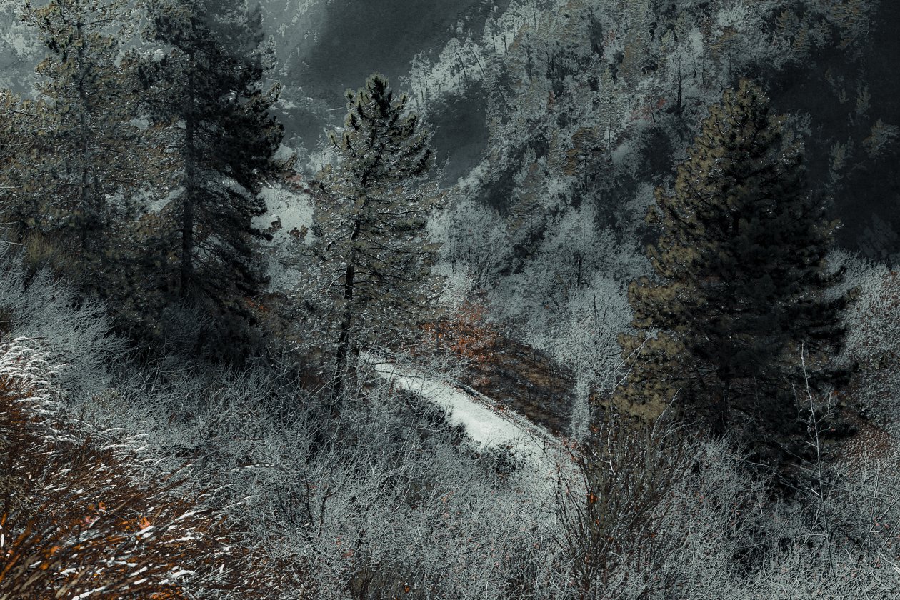 The Road from Milan, 2018 by Alice Gur-Arie