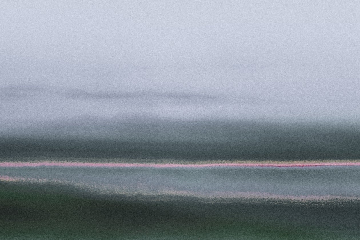 Verdant, from the series Conyer Reach by Alice Gur Arie
