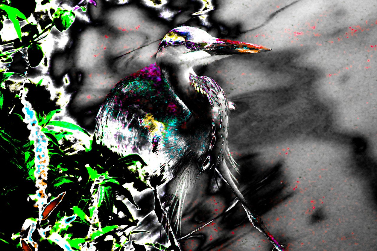 After the Blind, 2013 by Alice Gur-Arie