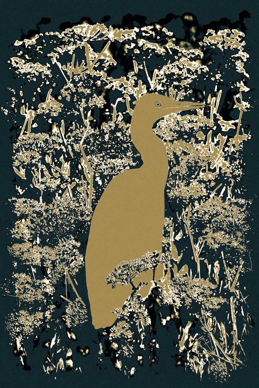 Royal Egret, 2015 by Alice Gur-Arie
