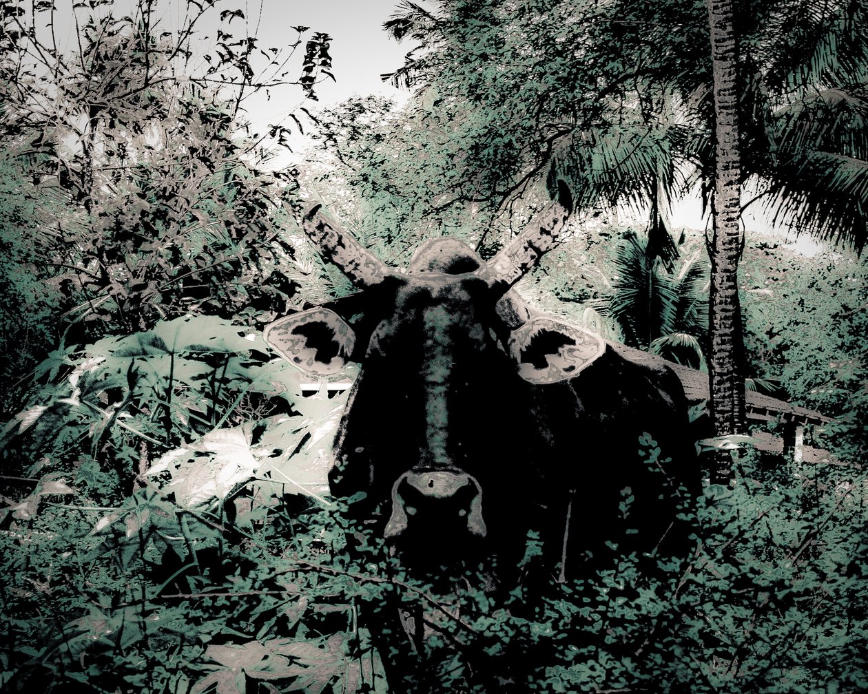 The Lodge Near Periyar, 2020 by Alice Gur-Arie