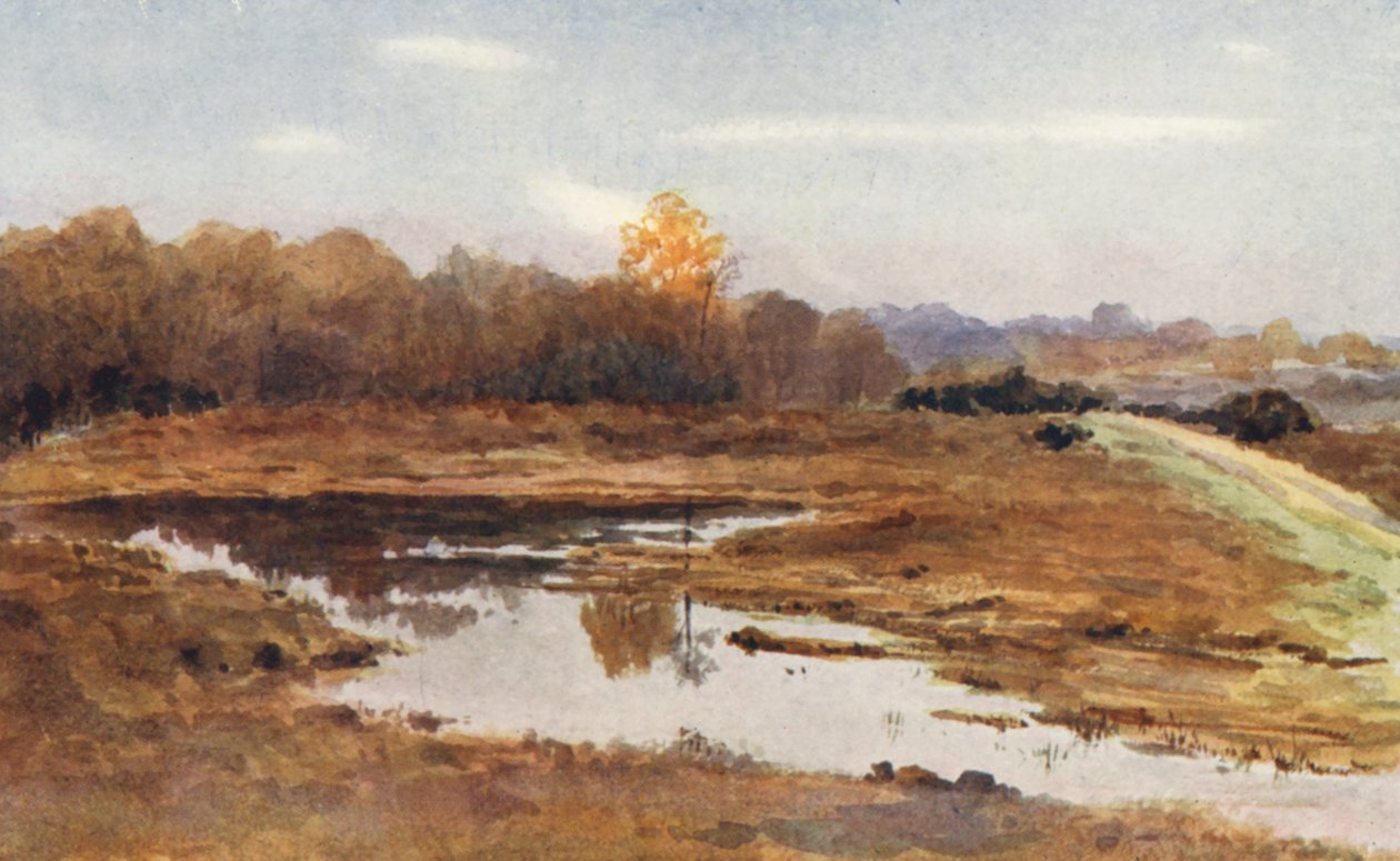 New Forest: On the Beaulieu Road, A Wet October by Alice Julia Argles