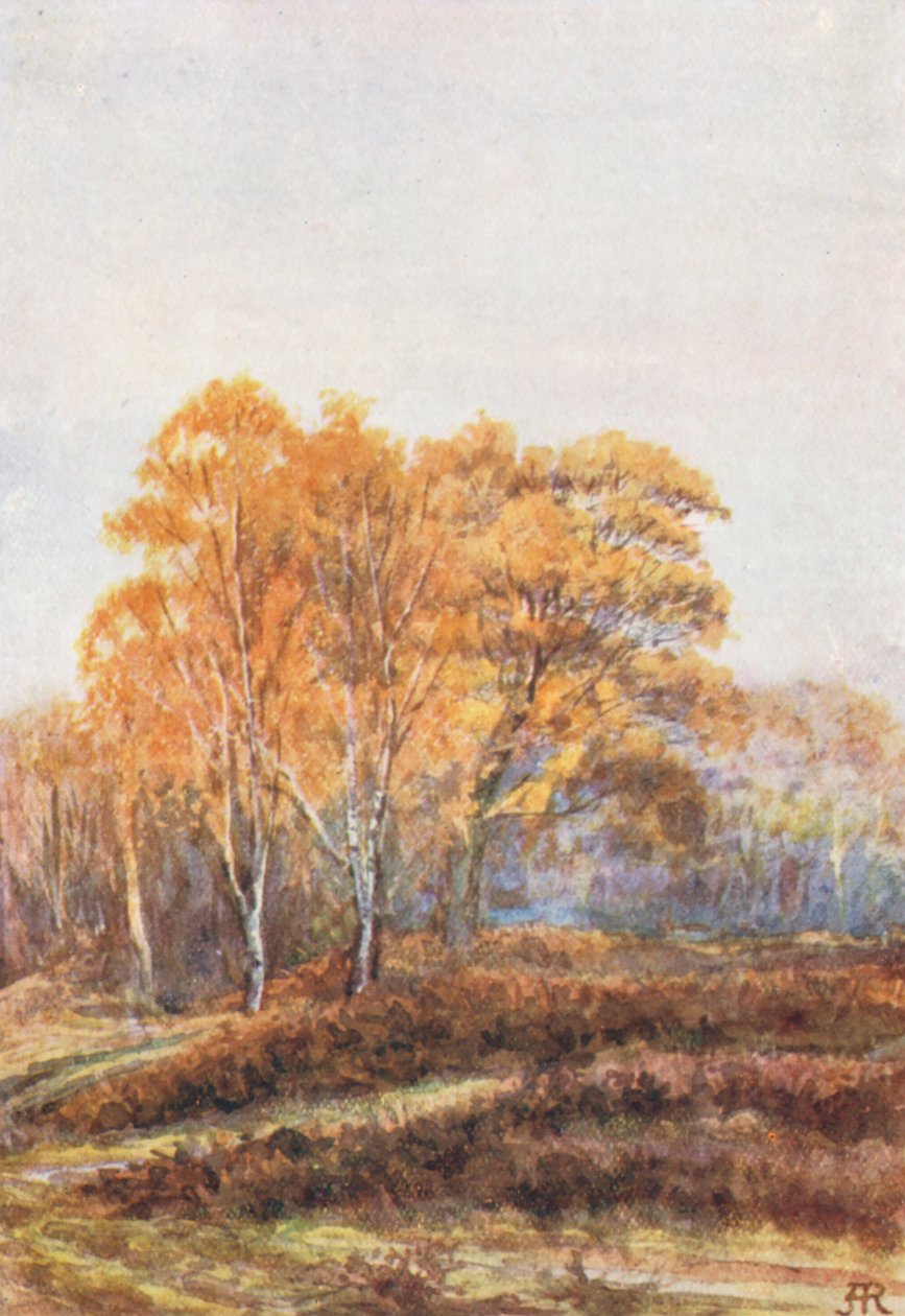 New Forest: The Birches at Faircrop, Early November by Alice Julia Argles