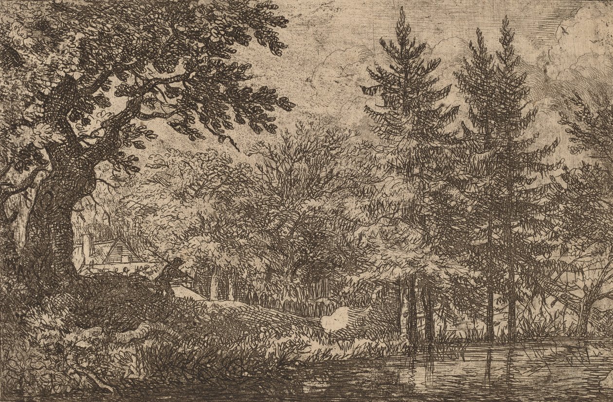 Fir Trees at the Water, probably c. 1645-1656 by Allart van Everdingen
