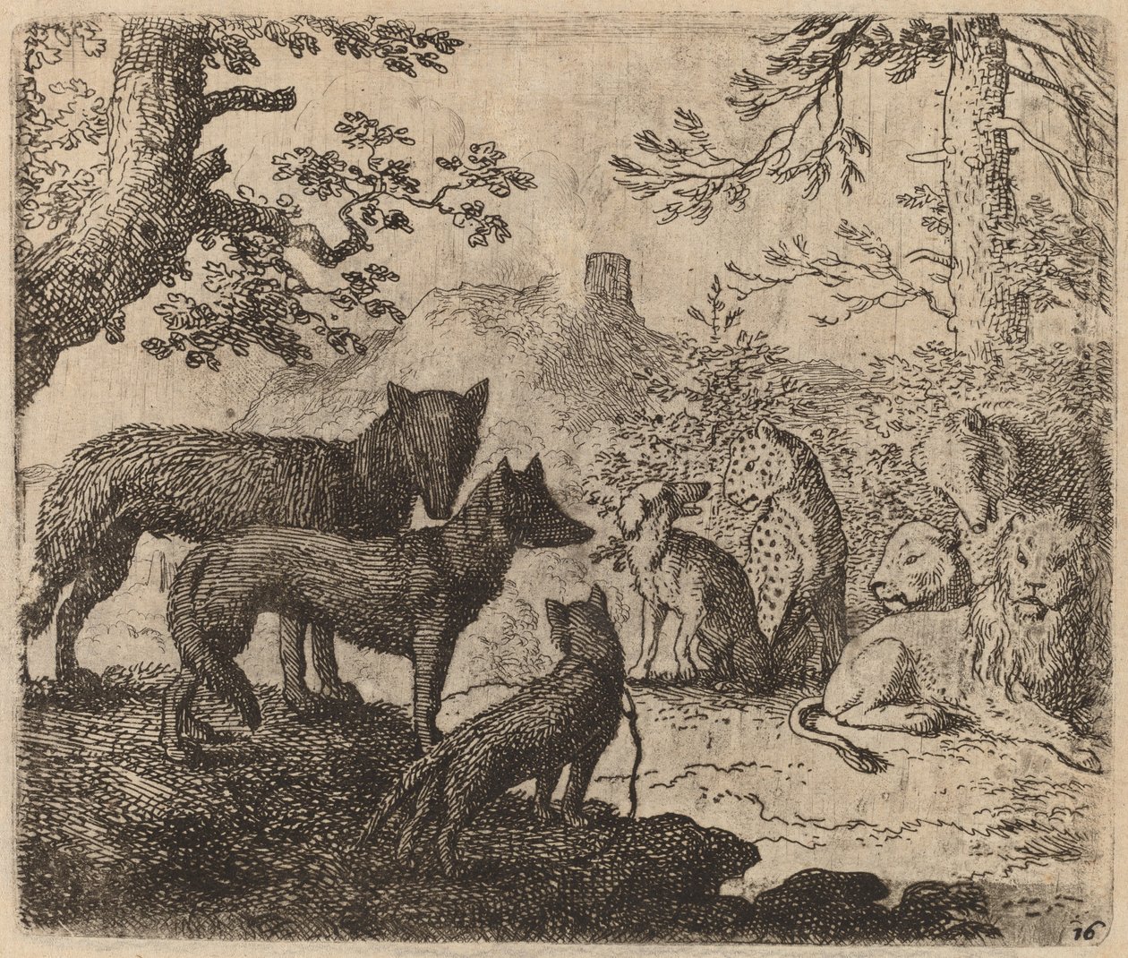 Reynard