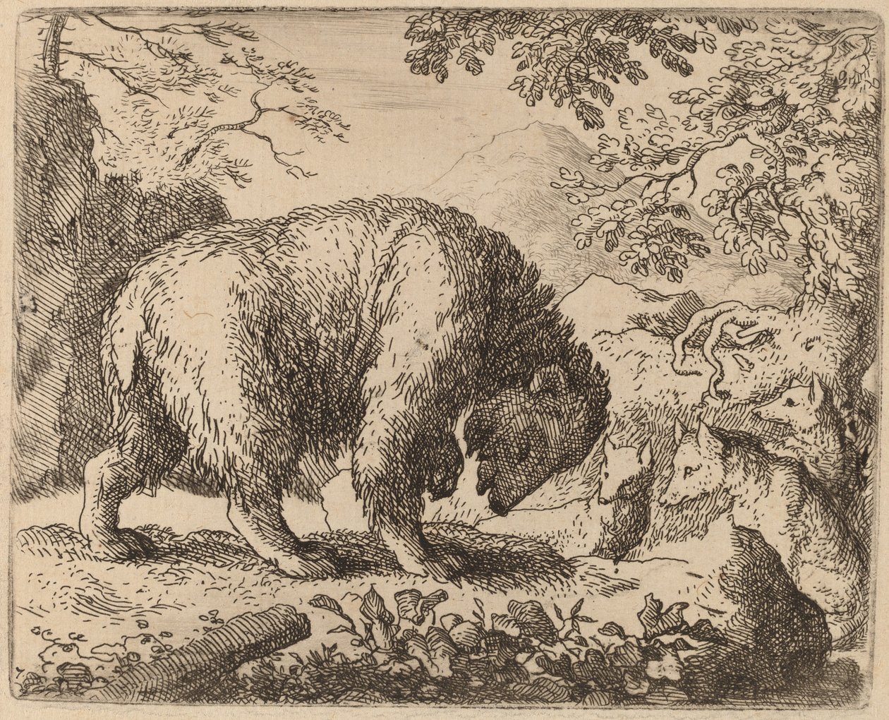 The Bear Distracted with Talk of Honey by Allart van Everdingen