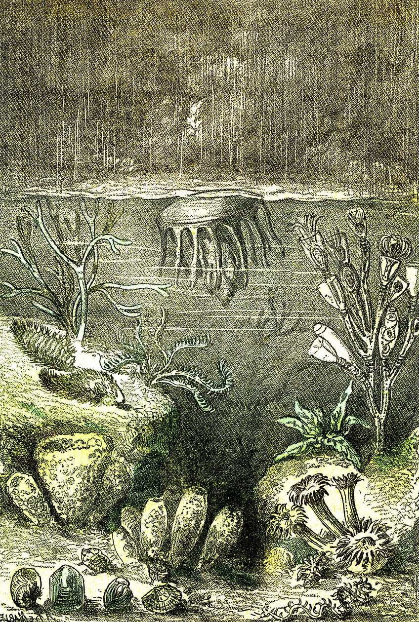 Prehistory-Terre et Mers: The beginning of the Silurian period by Alphonse Demarle