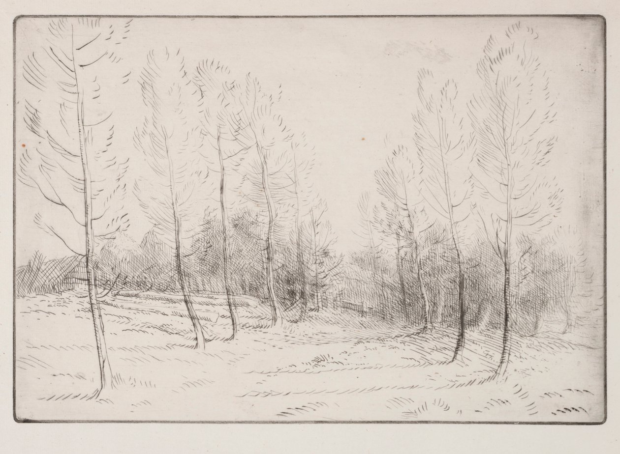 Avenue of Poplars by Alphonse Legros