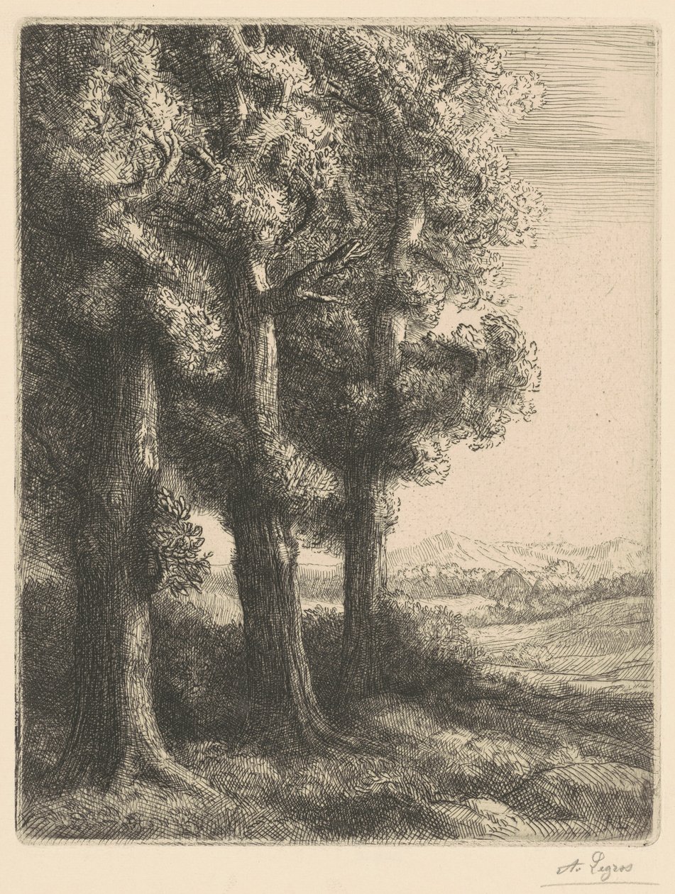 Corner of a Wood by Alphonse Legros