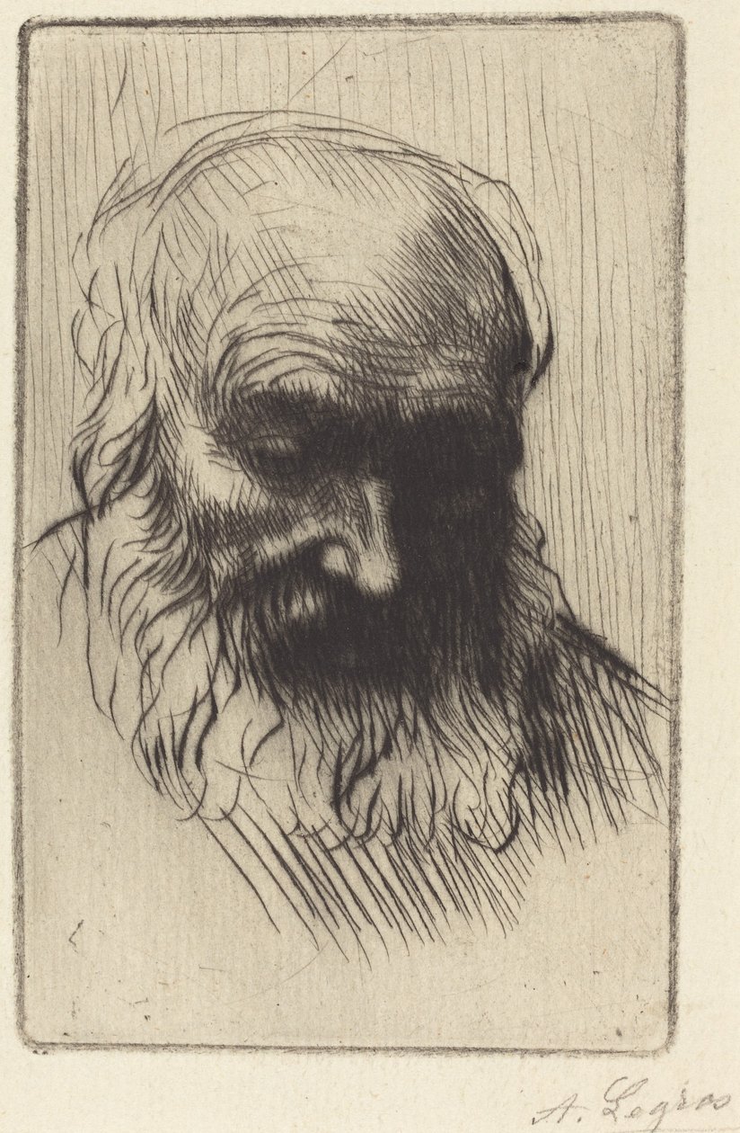 Head of an Old Man by Alphonse Legros