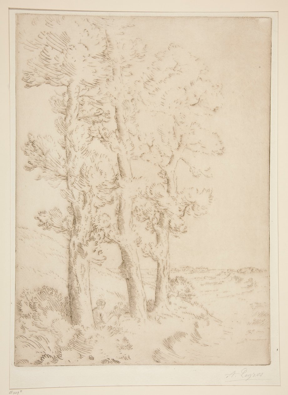 Woman Reading: Lesson under the Trees by Alphonse Legros