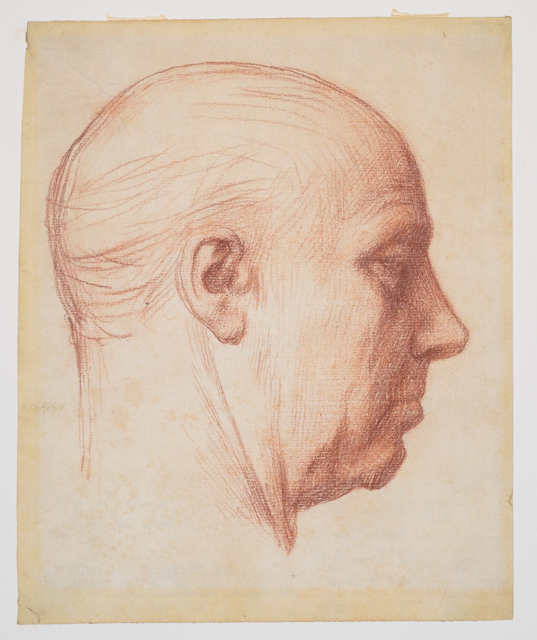 Profile of a Man by Alphonse Legros