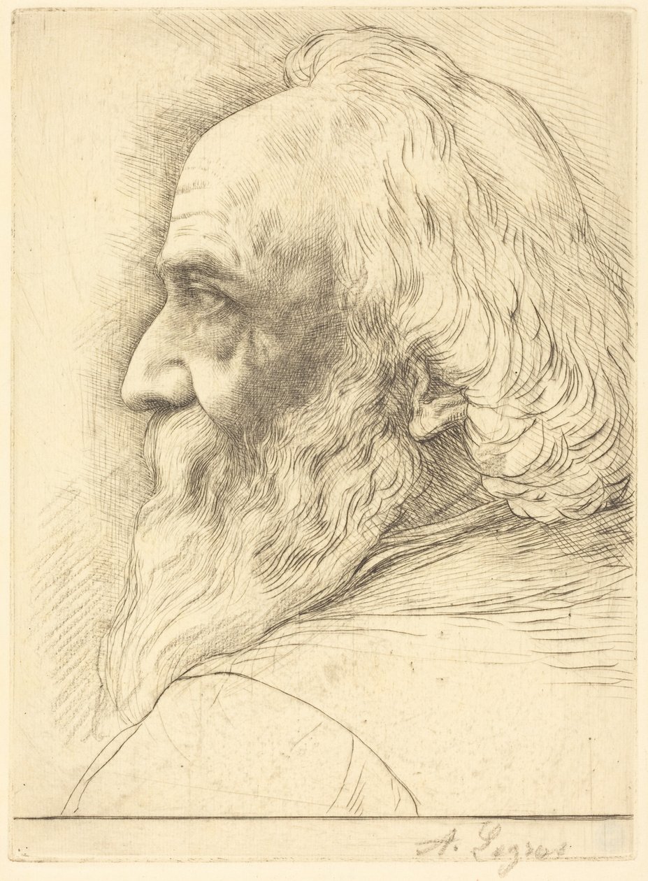 Self-Portrait, 12th Plate by Alphonse Legros