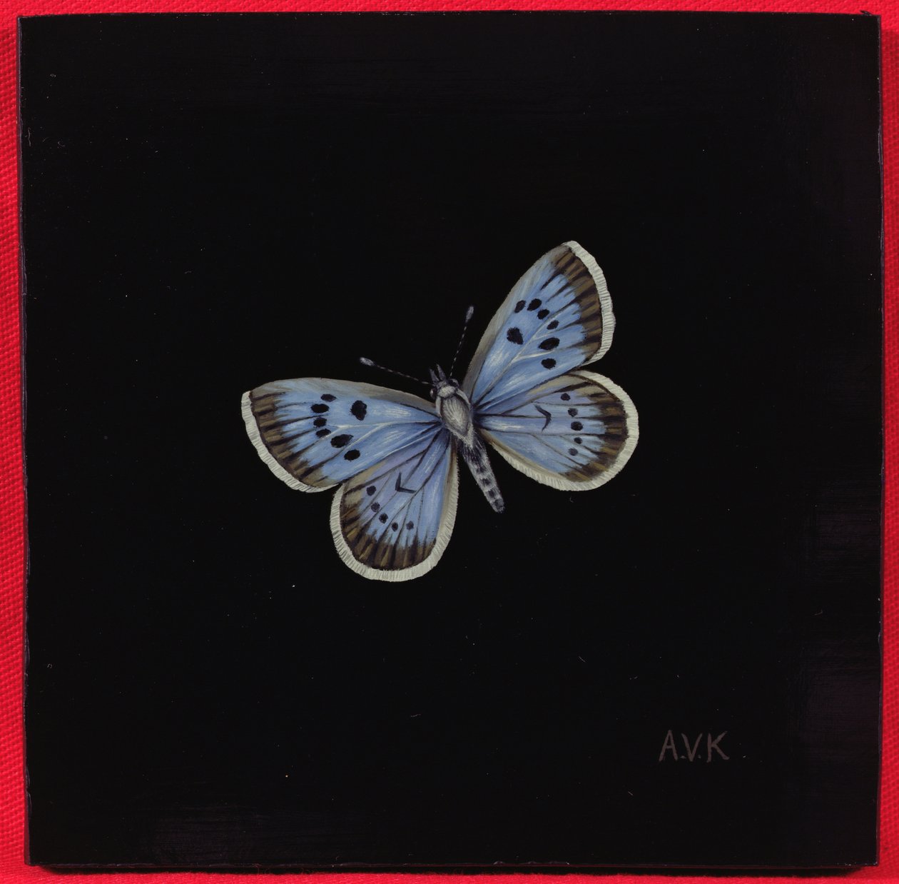 Large Blue Butterfly by Amelia Kleiser