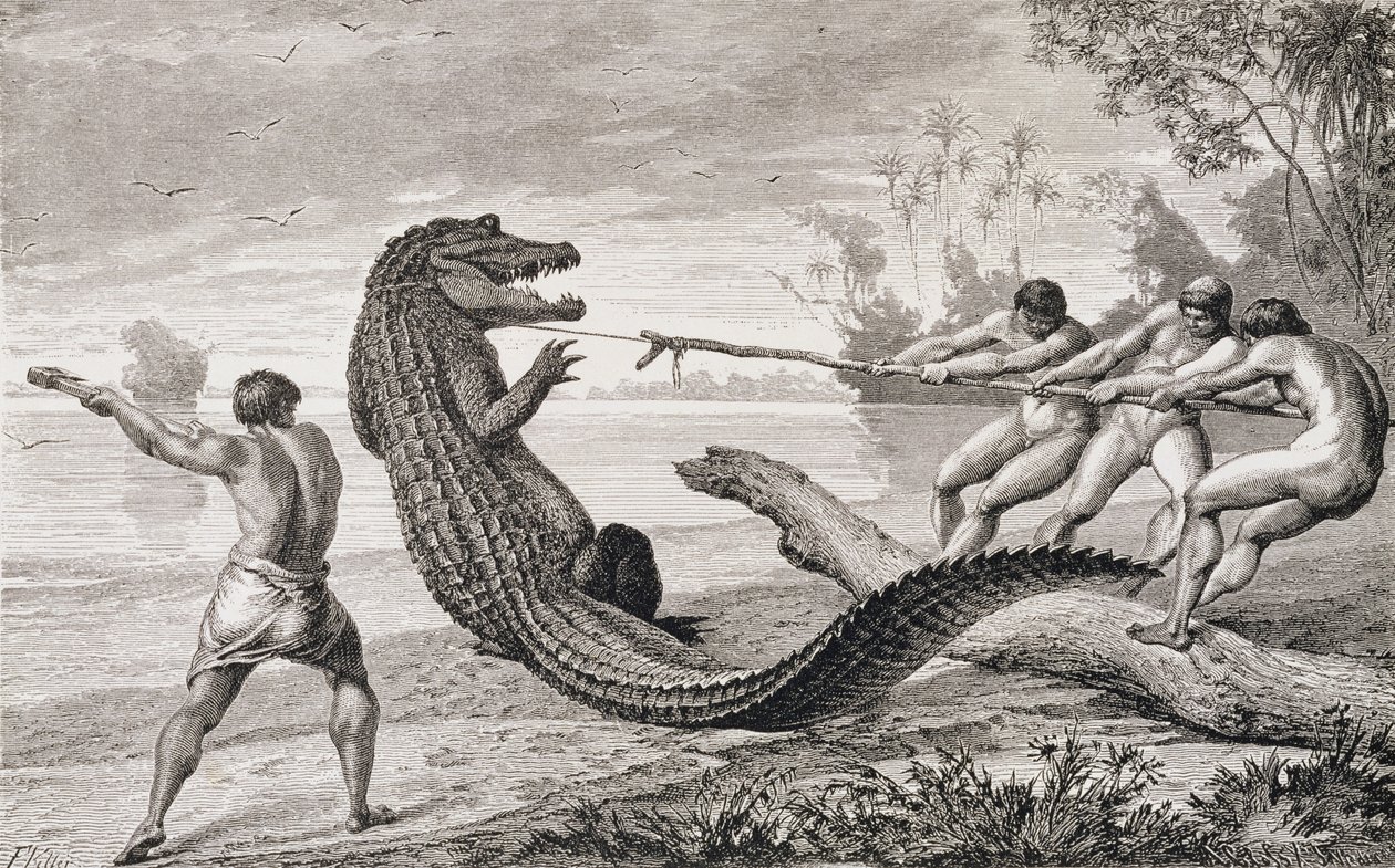 Catching an alligator with lasso, from 'The Amazon and Madeira Rivers ...