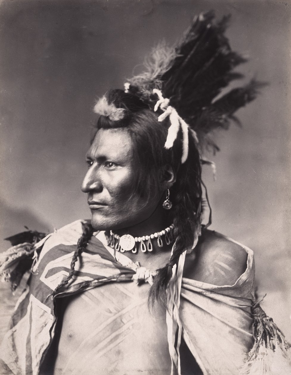 'Old Brass', a native North American by American School
