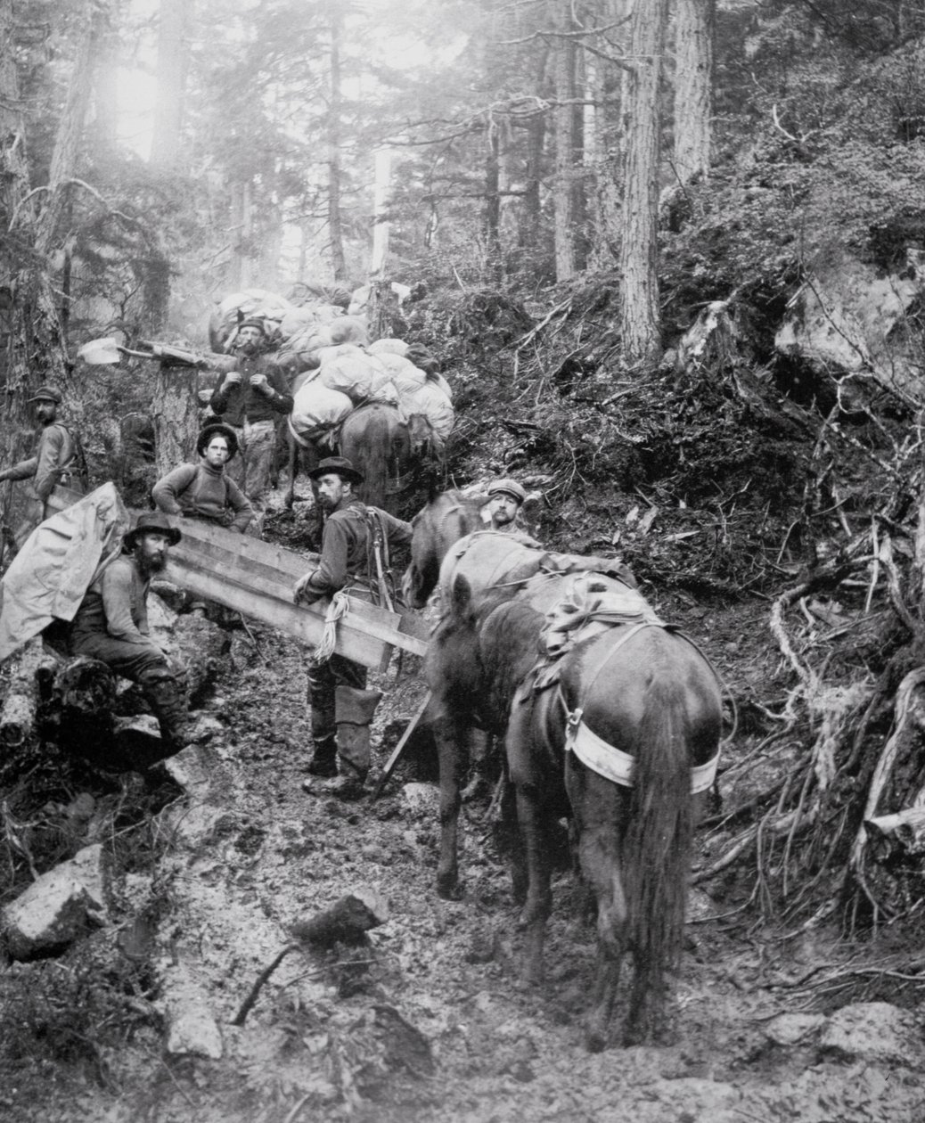 Climbing the Dyea Trail on the way to the Chilkoot Pass during the ...