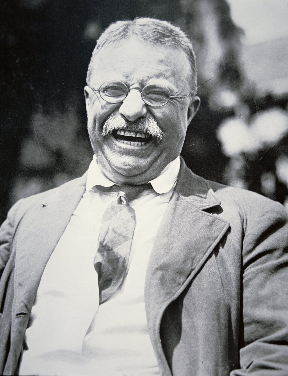 President Theodore Roosevelt, c.1917 by American Photographer