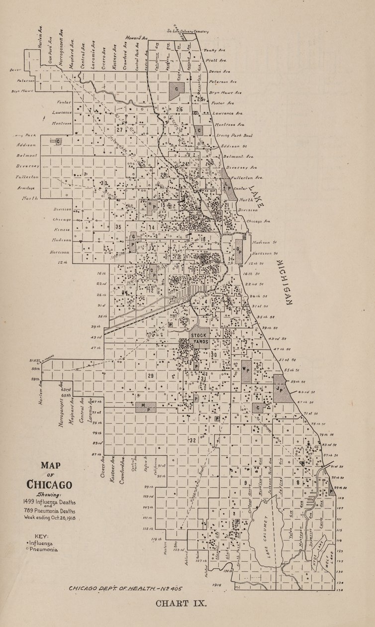 A Report on an Epidemic of Influenza in the City of Chicago in the Fall of 1918 by American School