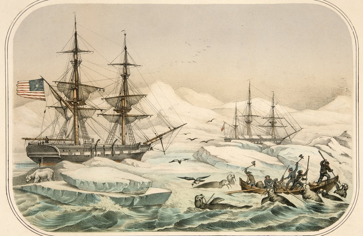 Crew of a Whaling Ship Being Attacked by Walrus by American School