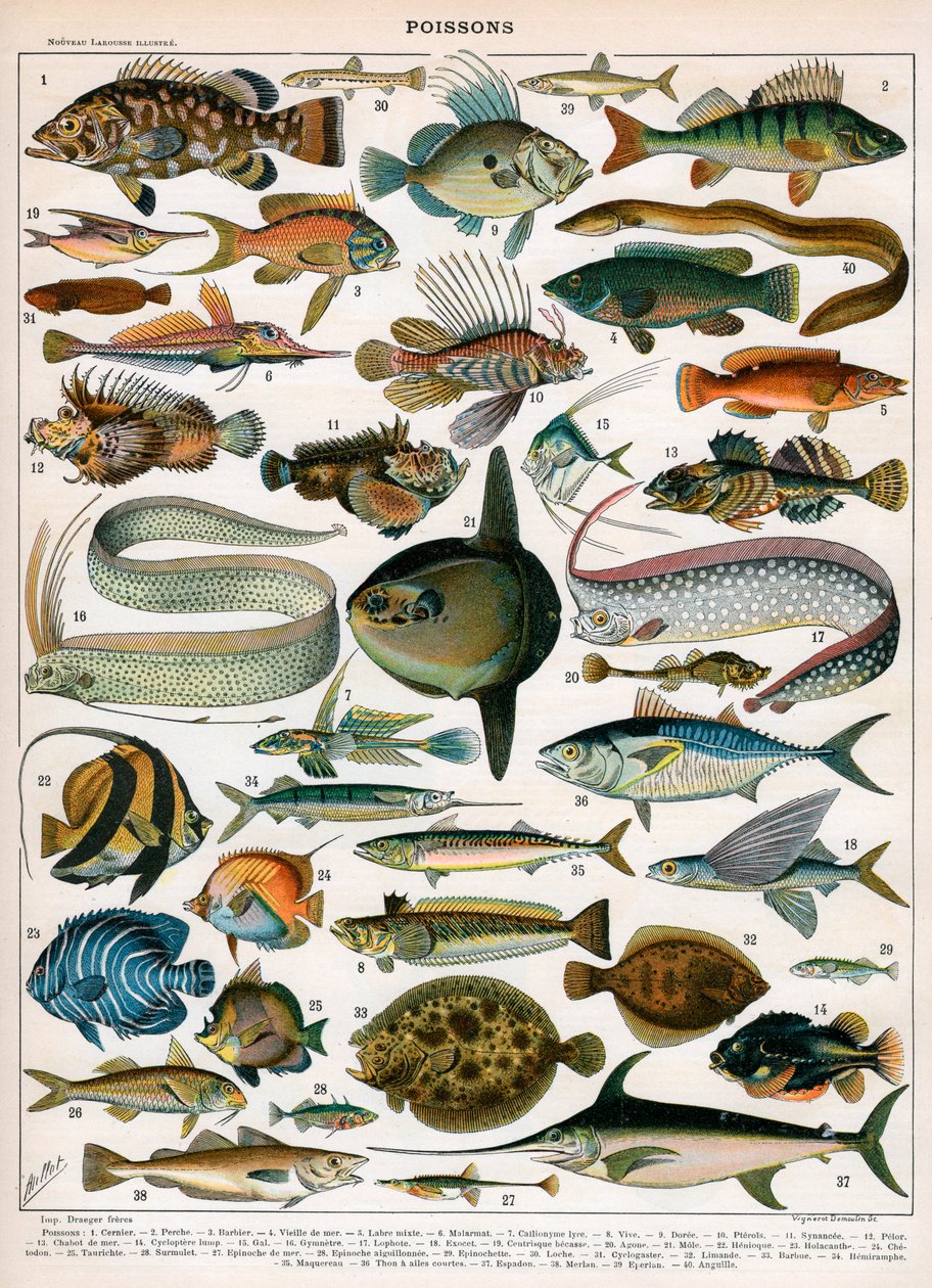 Decorative Print of 