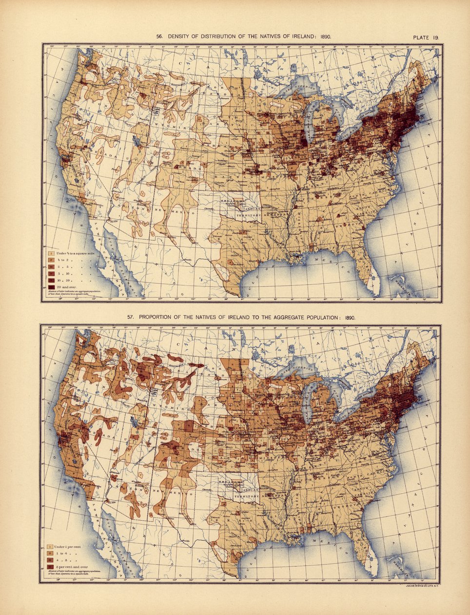 Density of distribution of the natives of Ireland and their proportion to the aggregate population, 1898 by American School