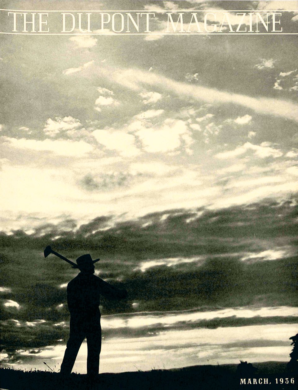 Farmer in Field by American School