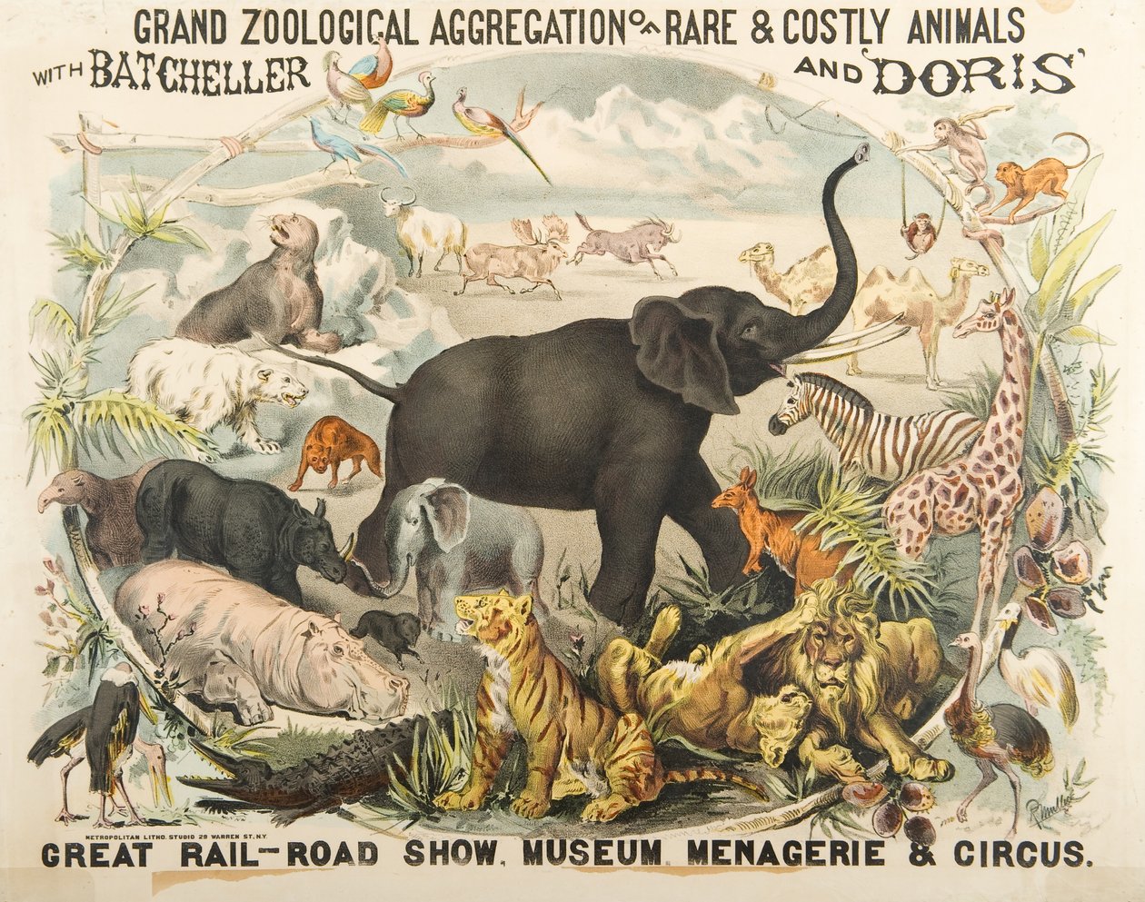 Grand Zoological Aggregation of Rare and Costly Animals with Batcheller and Doris by American School
