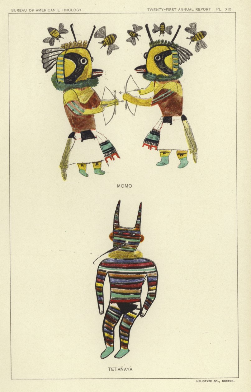 Momo, Tetanaya by American School