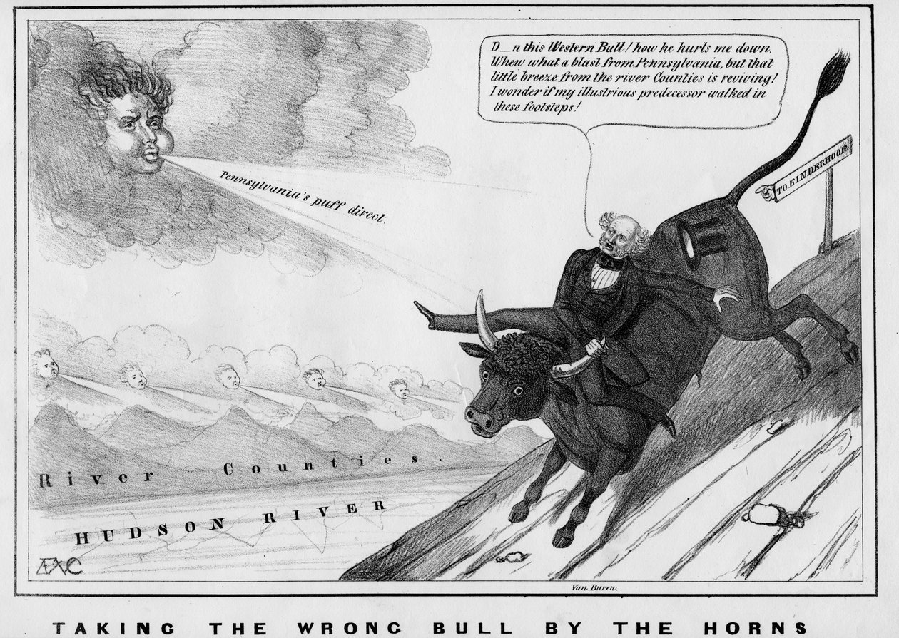 Taking the Wrong Bull by the Horns by American School