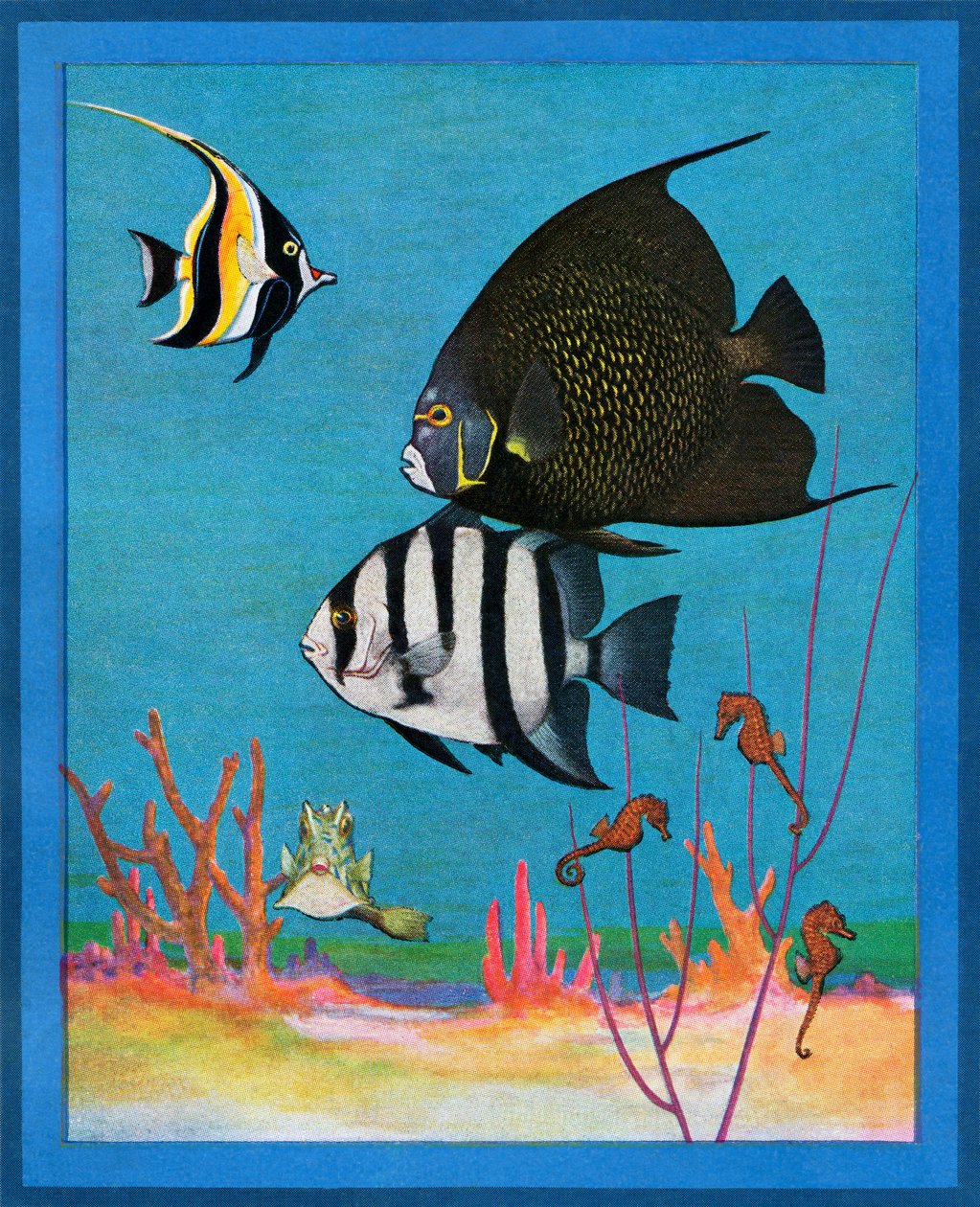 Vintage Print of a Saltwater Aquarium with Tropical Fishes by American School
