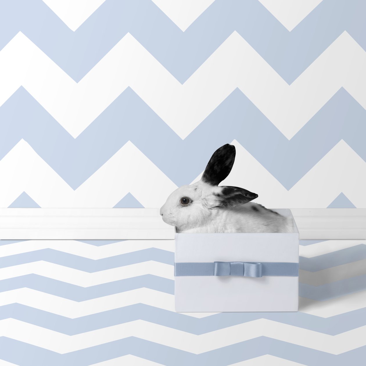 Bunnies 06, 2018 by Ana Carolina Tavares Mizrahi