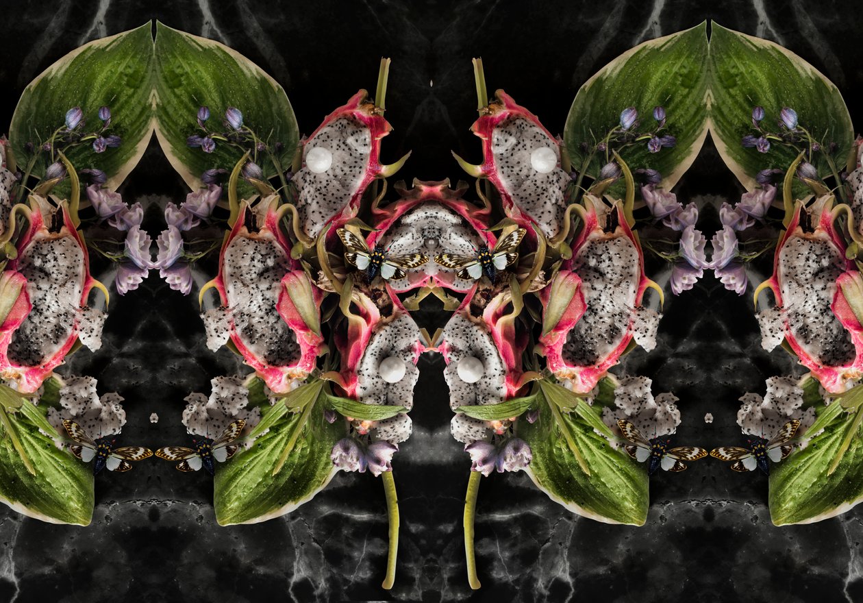 Eve_01, 2016 by Ana Carolina Tavares Mizrahi