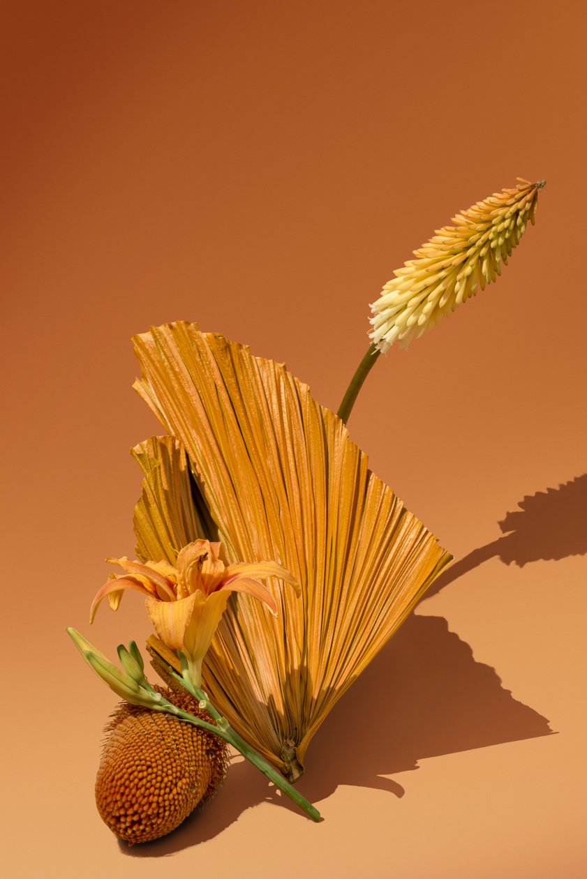 Ikebana 02, 2018 by Ana Carolina Tavares Mizrahi