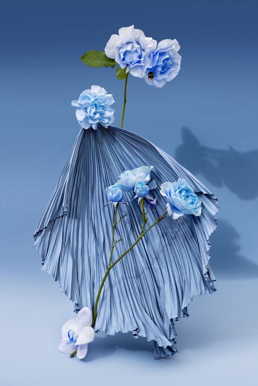 Ikebana 03, 2018 by Ana Carolina Tavares Mizrahi