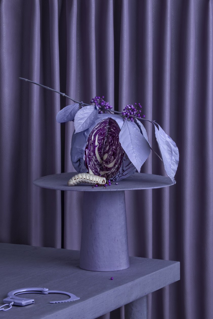 The Farewell Party 03, 2016 by Ana Carolina Tavares Mizrahi