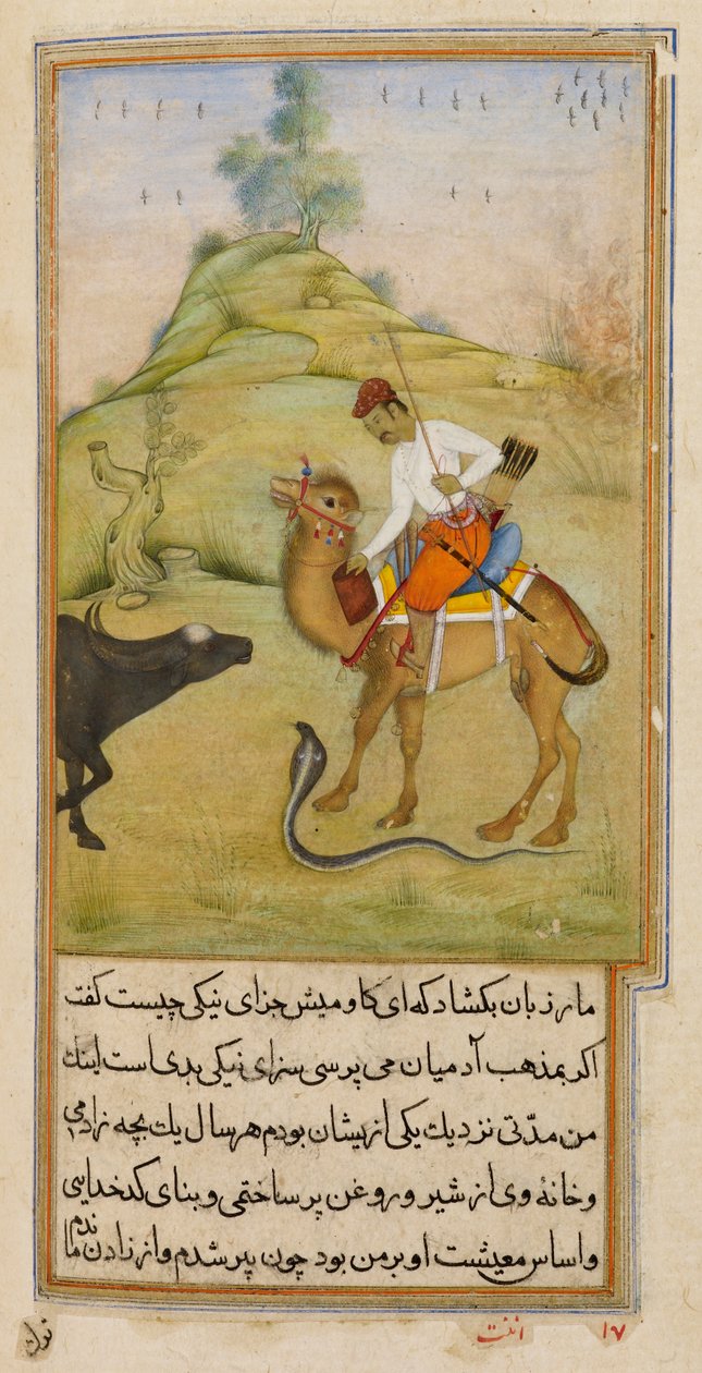 The Camel Rider, illustration from 'Anvar-i Suhayli'