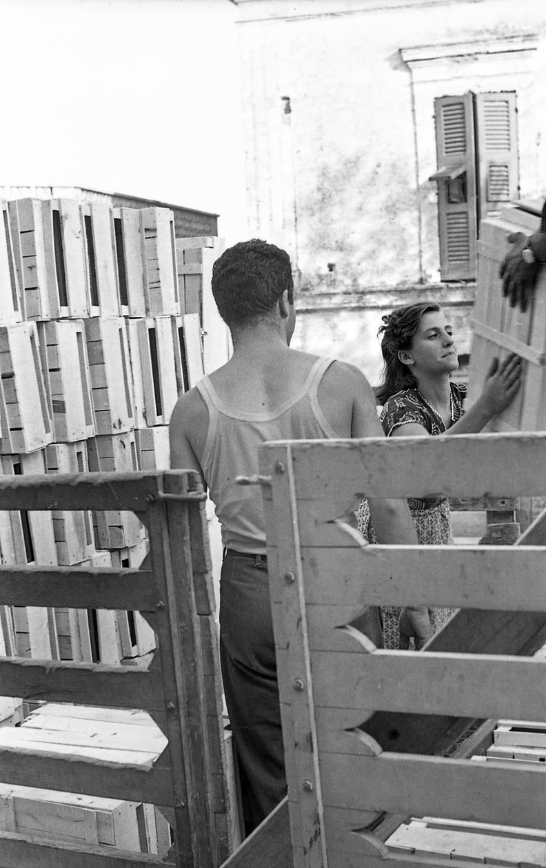 Bitter Grapes - A Truck of Boxes to Fill by Ando Gilardi