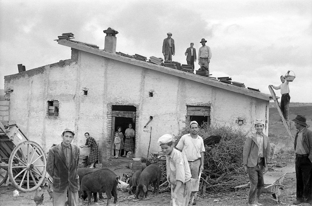 Celebrating the Cover of the Roof by Ando Gilardi