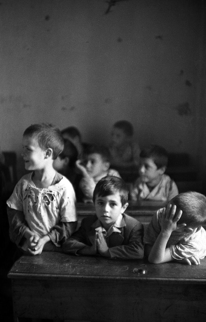 Melissa Elemental Class by Ando Gilardi