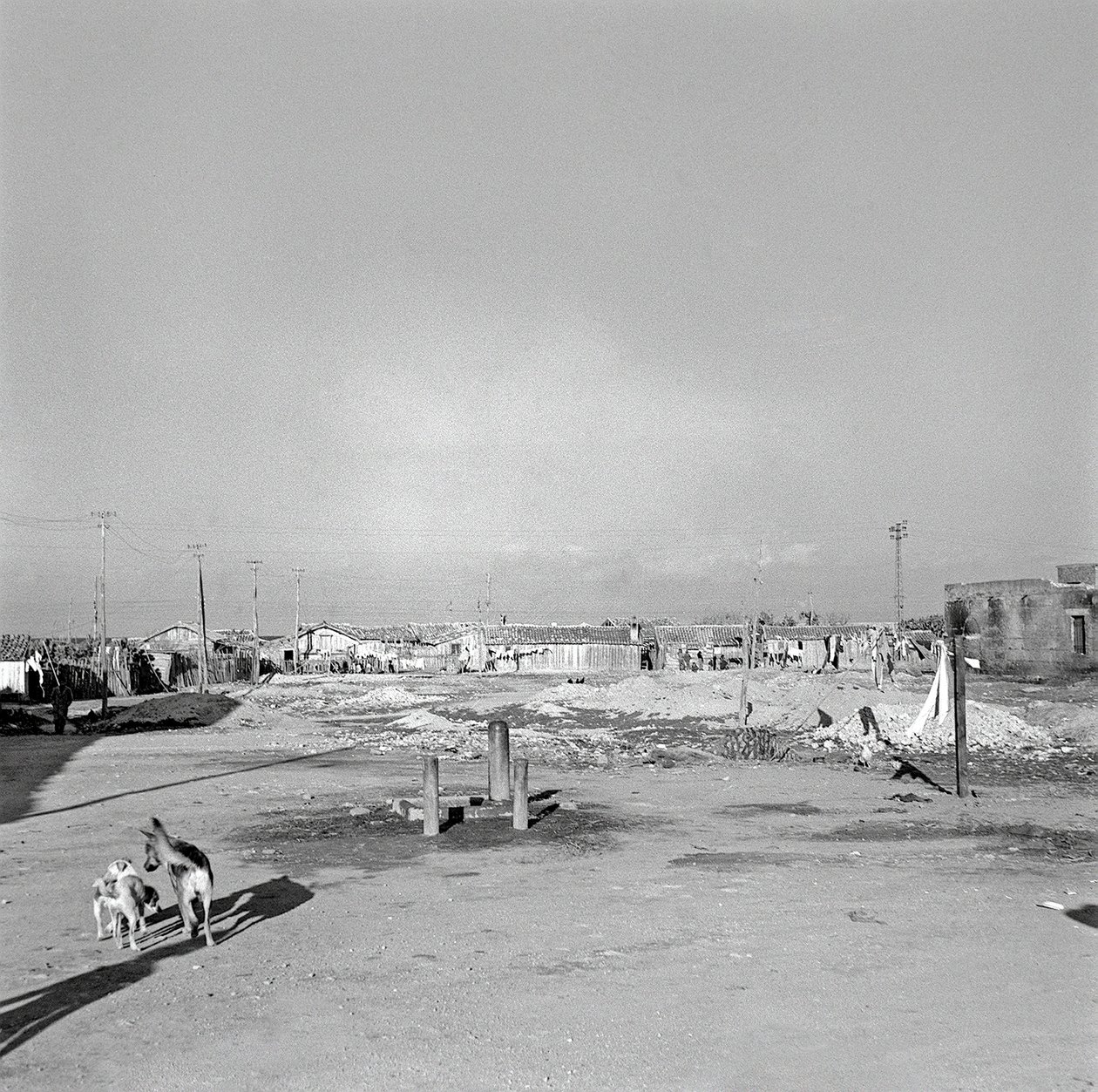 Working District, Crotone by Ando Gilardi