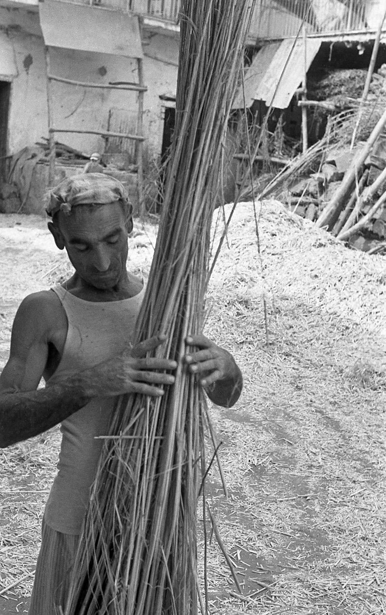 Working of Hemp, the Woody Cannulas by Ando Gilardi