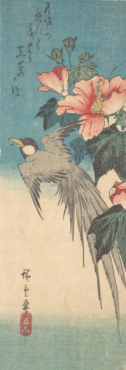 Hibiscus Mutabilis and Long-Tailed Bird by Ando Hiroshige